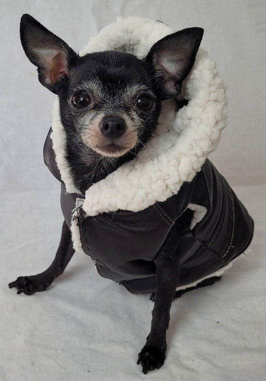 Manteau chien - Isadora & Cie