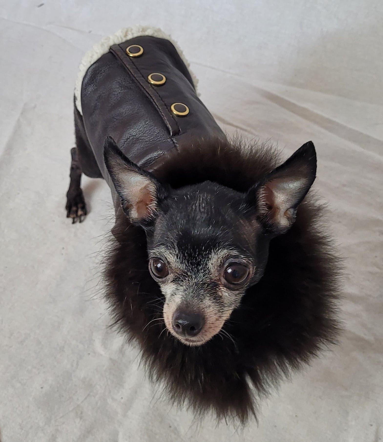 Manteau de chien - Isadora & Cie